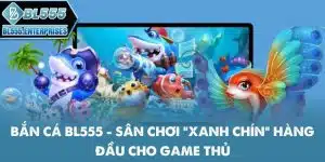 ban-ca-bl555